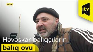 Həvəskar balıqçıların balıq ovu