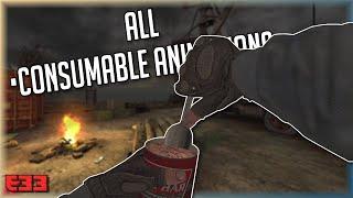 GUNSLINGER (S.T.A.L.K.E.R.: Call of Pripyat mod) - All Food, Drinks and Medications Animations