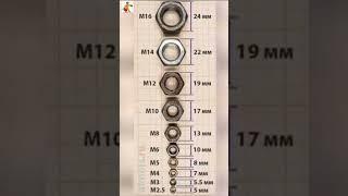 nut and size with mm