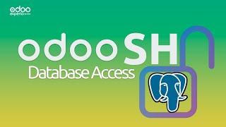 #Odoo SH Remote Database Access (Conectar con base de datos Odoo SH)
