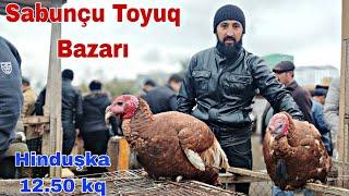 Sabunçu Toyuq Bazarı 1 dekabr 2024 @mubarizemintv2271