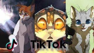 Warrior Cats TIKTOK COMPILATION// 5