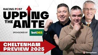 Upping The Ante | Cheltenham Festival Preview 2025