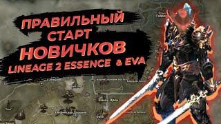 Правильный старт в Lineage 2 Ева, Эссенс от А до Я / Гайд для новичков 2024