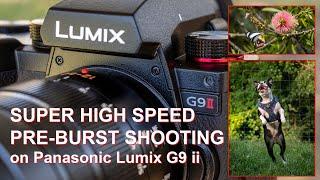 Panasonic Lumix G9 Mark ii - Shooting in SUPER HIGH SPEED PRE-BURST MODE.
