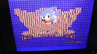 Sonic the Hedgehog Glitching on Western Technologies Sega Dev Card