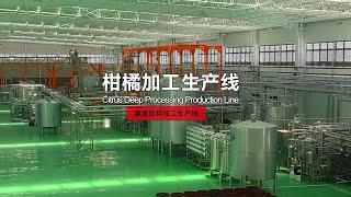 Turnkey Project for orange processing line, citrus/orange/lemon processing line 20 to 2000 tons/day