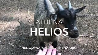 Camping Athena Helios