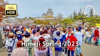 Himeji Spring 2023 Walking Tour - Hyogo Japan [4K/HDR/Binaural]