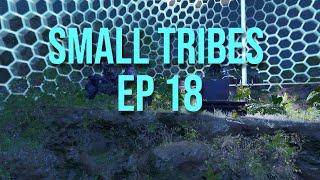 Ark Survival Ascended | Small Tribes Ep 18 Tek Fobbing a Cheating tribe & Being Botted Ark Ascended