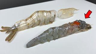 Why Shrimps Look Like Insects?! - Shrimp Dissection