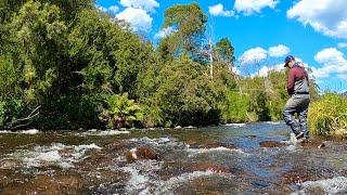 Fly Fishing the Rubicon River with Nymphs in Perfect Conditions!