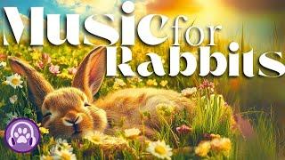 Magic Music for Rabbits - Soothing Songs to Calm Your Bunny 