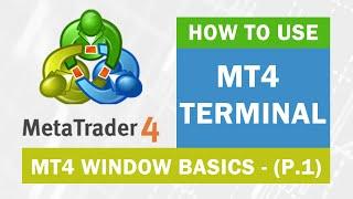 MetaTrader 4 ► How to Use MT4 Terminal - Basics (P.1) ● XM Tutorial