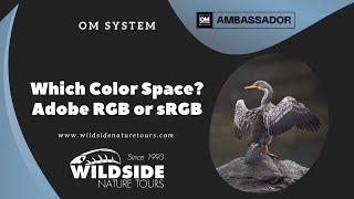 Which Color Space? Adobe RGB or sRGB