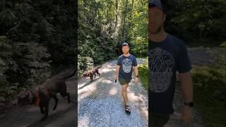 Ultimate Adventure: Exploring the Great Outdoors with Our Dog!