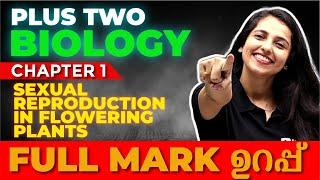 Plus Two Biology | Chapter 1 |  Sexual Reproduction in Flowering Plants | Full Chapter|Exam Winner