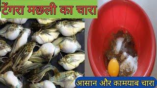 টেংরা মাছ ধরার স্পেশাল চার || How to make Tangra Catfish Bait || টেংরা মাছ ধরার জাদু।