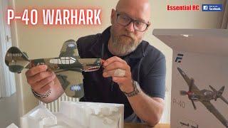 MICRO RC WARBIRD ! Curtiss P-40 Warhawk | Flight Test | EASY TO FLY & ALMOST INDESTRUCTIBLE