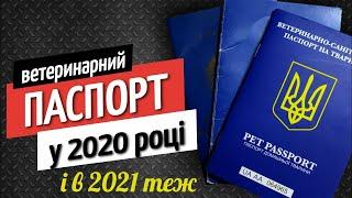 ВЕТПАСПОРТ для собаки у 2020 році (і в 2021) - ЦМСС 51