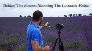 How I Composed Golden Hour & Milky Way Shots At The Lavender Fields in France