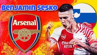  Benjamin Šeško ● Skills & Goals 2024 ► This Is Why Arsenal Wants Best Slovenian Attacker