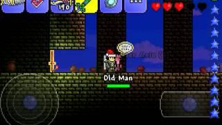 Terraria daug juoko