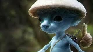 smurf cat song