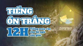 Tiếng Ồn Trắng Mưa Rơi  12h Tiếng Ồn Trắng Cho Bé Sơ Sinh Ngủ Sâu Giấc | Rain Sounds for sleeping