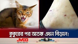 হাসপাতালে এখন কুকুর থেকে বিড়াল দ্বারা আক্রান্ত মানুষ বেশি! | Dog-Cat Bite | Jamuna TV