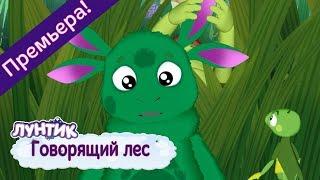 Говорящий лес  Лунтик  Новая серия | 491 | Премьера!