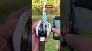 How to set your baitcaster for beginners #urbanfloridafishing #howto #fishingtutorial #fishingvideo