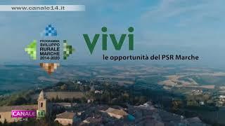 Il PSR Marche per il 2021/2022: al via gli incontri