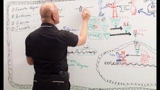 Transcription Factors and Promoter Region‍️