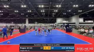 AJV 16 Royal vs. Rogue 16 GO (2025.03.01)