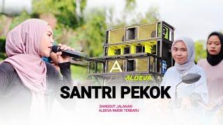 SANTRI PEKOK - EVI MARIANI DANGDUT JALANAN ALDEVA MUSIK TERBARU