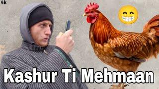 Kashur Ti Mehmaan | Viral | Dar Productions