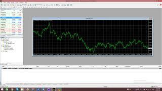 How to use RedFox Signals Copier Telegram to MT4