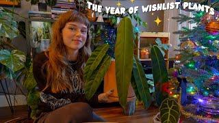 all the plants I crossed off my wishlist in 2024  & did they live up to the hype?