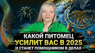 Заведите этого питомца и он станет вашим защитником в 2025 году I Мара Боронина #нумеролог #прогноз