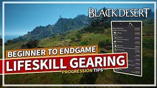 Lifeskill Gear Progression from Beginner to Endgame Guide | Black Desert