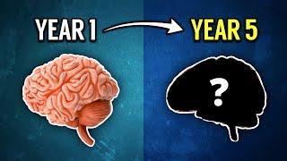 How Years Of Gaming Affects Your Brain