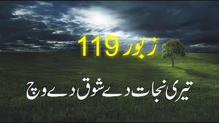 Zaboor 119 | Psalm 119 | تیری نجات دے شوق دے وچ | Teri Najat De Shauq De Wich | Geet aur Zaboor  