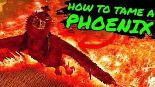 How To Tame A PHOENIX on Ark Survival Ascended! SCORCHED EARTH PHOENIX LOCATION and TAMING