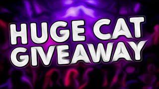 HUGE CAT GIVEAWAY! | PET SIMULATOR X