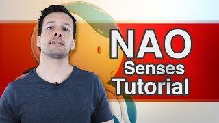 Aldebaran NAO Tutorial Video 4 “Senses"