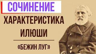 Характеристика Илюши в рассказе «Бежин луг» И. Тургенева