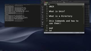 Basic Unix Commands