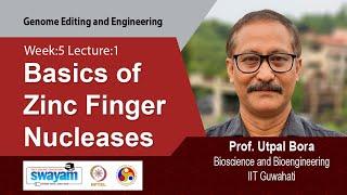 Lec 10: Basics of Zinc Finger Nucleases