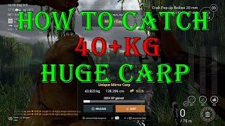 Fishing Planet - How to Catch 40+kg-90+lb Carp